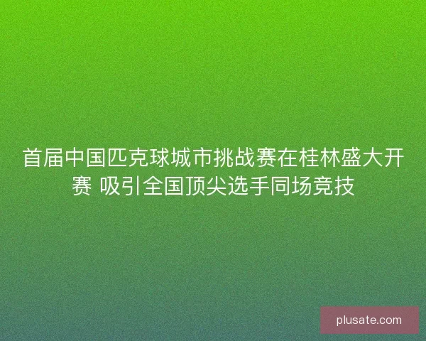 首届中国匹克球城市挑战赛在桂林盛大开赛 吸引全国顶尖选手同场竞技